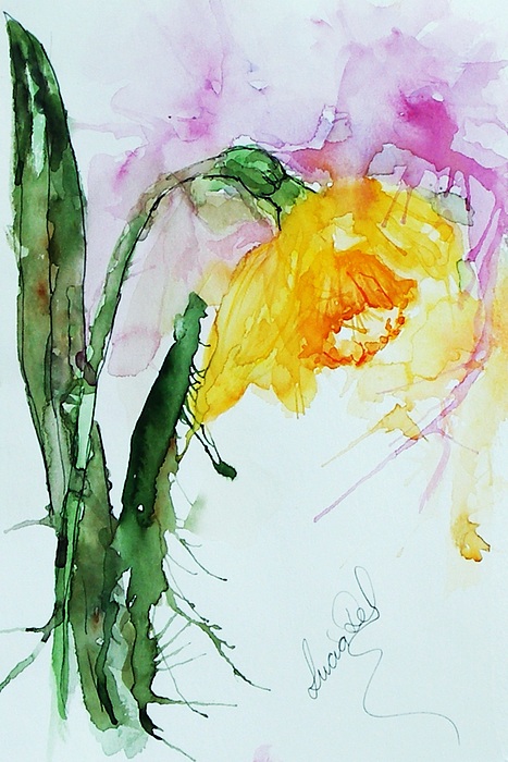 First Daff of the Season by Lucia Del First Daff of the Season by Lucia Del