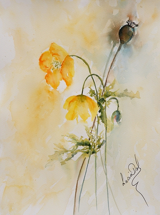 Poppies And Bud by Lucia Del Poppies And Bud by Lucia Del